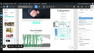 Subscribe to Newsletter Setup - Nicepage