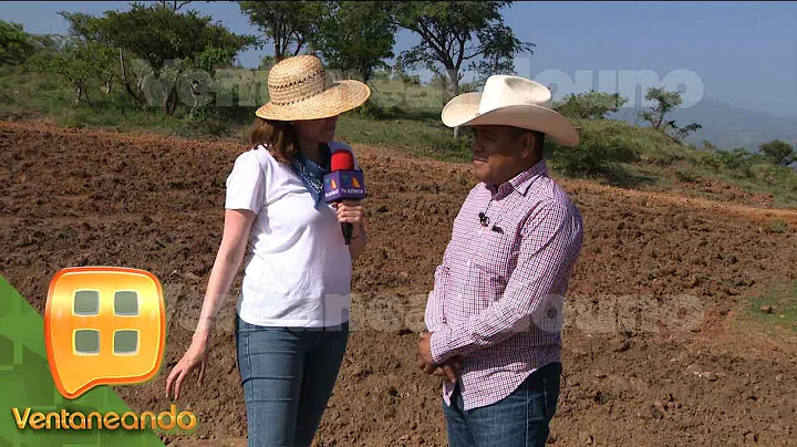 Acompaamos a Erasmo Catarino a sembrar en su tierr...