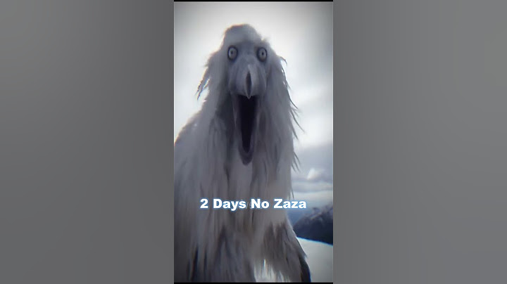 Erosion Bird Zaza