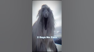 Thumbnail of Erosion Bird Zaza