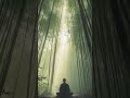 528Hz Healing Frequency, Tibetan Buddhist Meditation Music, Sacred Padma Mama Energy