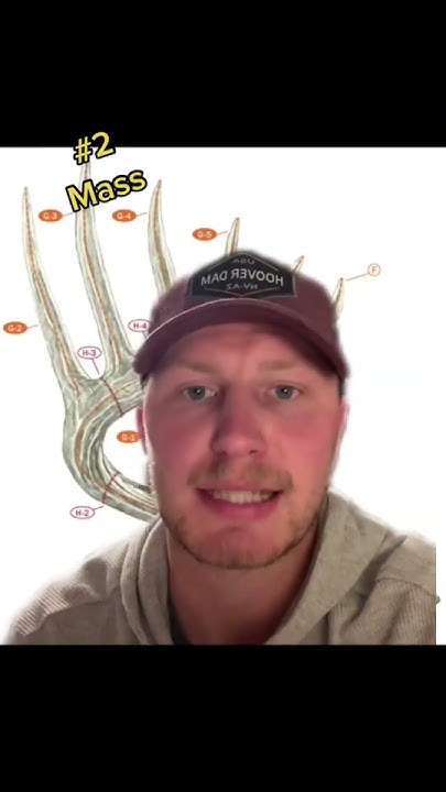 most-important-antler-characteristics-when-scoring-a-deer-youtube