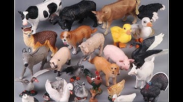 Simulation Solid Poultry Farm Animals Models sets Presentation Video !🐔🚜🌾 Domestic Animals Model