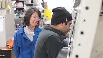 Research Spotlight: Connie Lu - improving chemical reactions