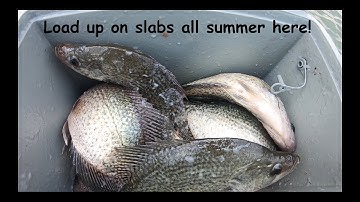Load your cooler with slab crappie all summer by fishing here! Most don