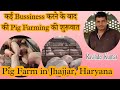 कई बिजनेस करनें के बाद की पिग फार्म की शुरूवात ||  Pig Farming in Jhajjar in Haryana || Pig Farming