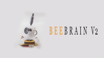 Promo for Newbee Drone Acrobee V2