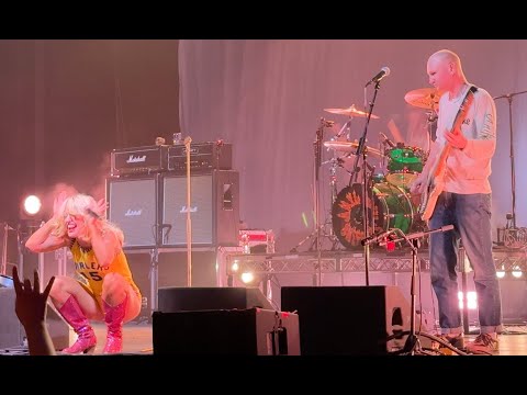Amyl and the Sniffers