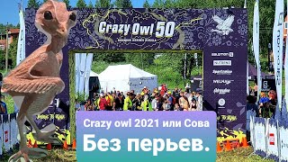 Crazy Owl 2021 или Сова без перьев.