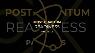 Seamless Transition to Post-Quantum TLS 1.3: A Hybrid Approach Using Identity-Based Encryption
