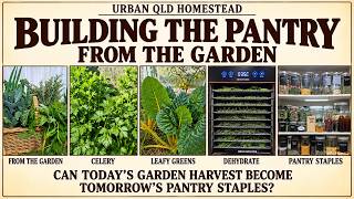 CAN TODAY'S GARDEN HARVEST BECOME TOMORROW'S PANTRY STAPLES?