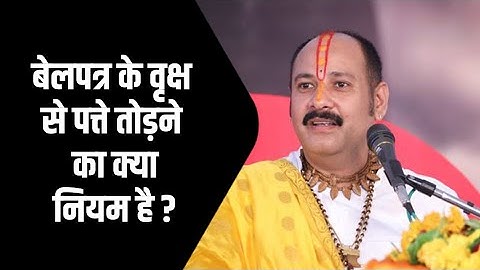 #बेलपत्र के वृक्ष से पत्ते तोड़ने का क्या नियम है ?  - Pandit #Pradeep Ji Mishra Sehore Wale