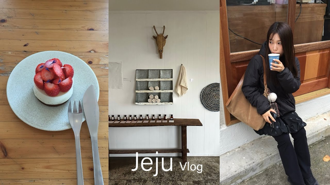 🍵Jeju Vlog. 제주 시내 여행 브이로그
