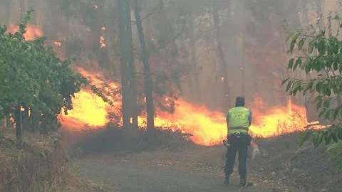 Portugal forest fires force 10 villages to evacuate - DayDayNews