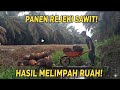 🔴seperti ini lah kerja di sawit ‼️ pemula wajib tonton ini⁉️
