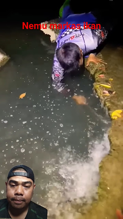 thousands of fish gathered under the concrete..!!