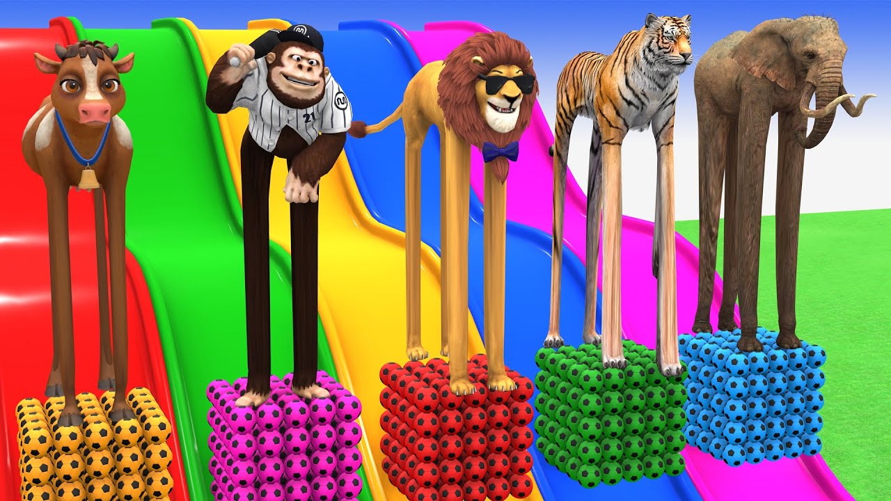 Long Slide Game With Cow Elephant Gorilla Hippopotamus Tiger - 3d Animal Game - Funny 3d Animals