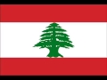 فارس كرم نسونجي 