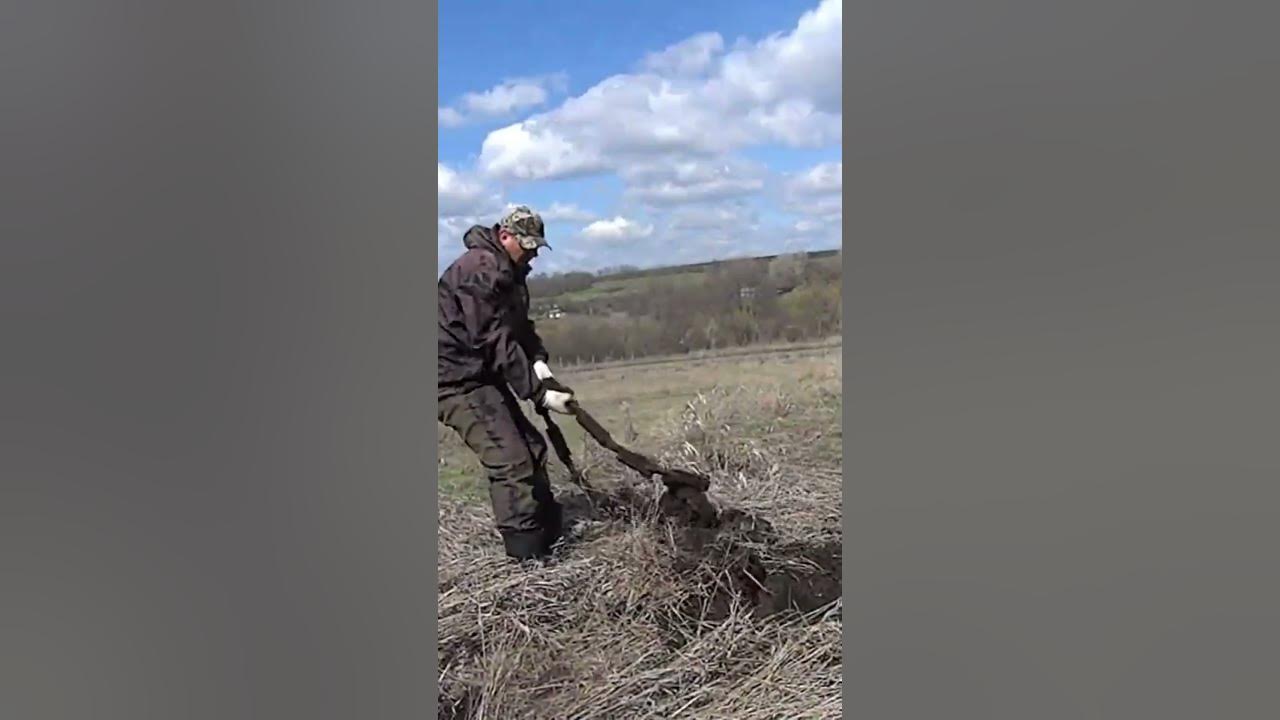 Фото металлокопа. Макс металлокоп. Металлокоп с михаилом ивановым. Металлокоп ютуб видео. Коп в тайге.