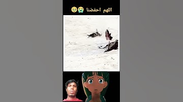 #عبدالرحمن_مسعد_تلاوة_جديدة #عبدالرحمن_مسعد 😂🥹😂🥹😂🥹😂🥹