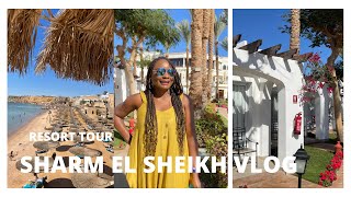 My Sharm El Sheikh Egypt Vlog and Resort Tour