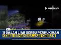Konflik Manusia dan Gajah Liar Terjadi Lagi, Kebun Warga Rusak di Pekanbaru | NTV PRIME