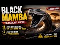 The Snake That Can Kill in Less Than an Hour | Black Mamba