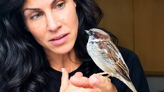 I Saved This Tiny Bird’s Life… Then He Changed Mine Forever 🥹❤️🐦