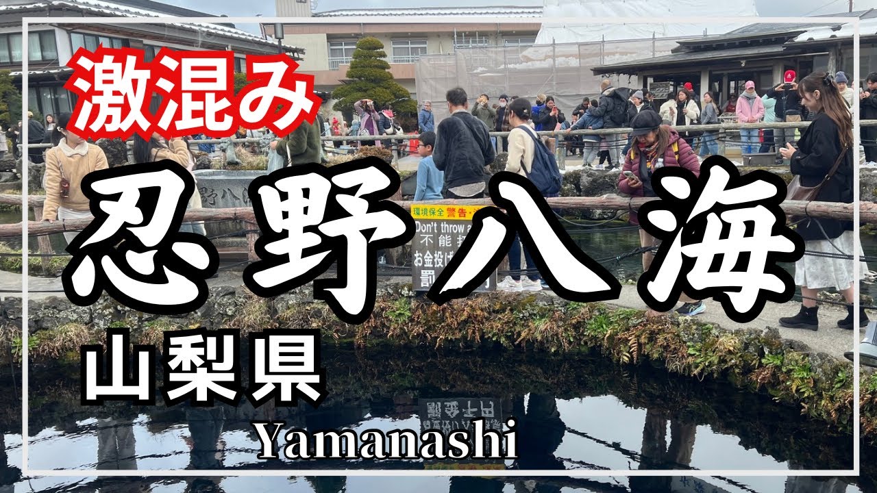 【激混み覚悟！世界文化遺産　神秘の湧水〜忍野八海】山梨県