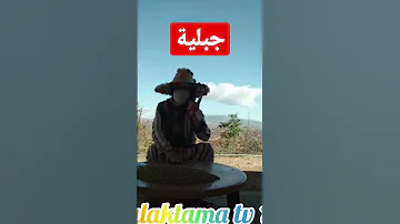 شكون فيكم باغي المزيد من هذه الاغاني الجبلية Shorts 