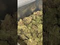 Flora farms #710 #missouri #420 #shotrs