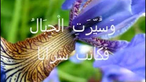 سورة النبأ -الشيخ احمد اسامه الترجمان.flv
