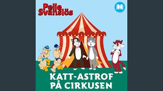 Katt-astrof på cirkusen, del 4