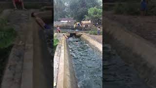 Bendung Cilembur Pandeglang 3