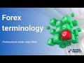 Forex Terminology for Beginners PDF - YouTube