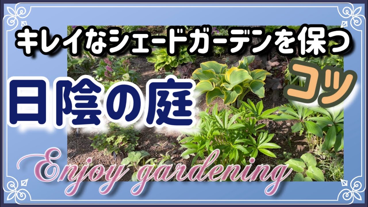 Shade gardening work you want to do now! You still have time