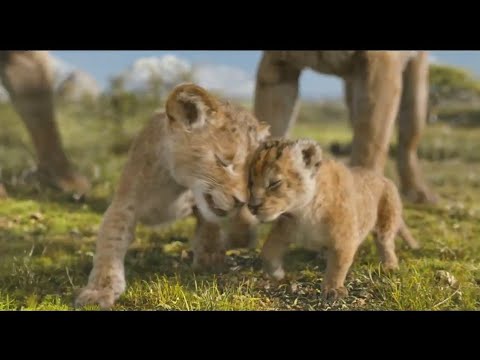 Mufasa: Der König der Löwen - Kiara trifft ihren kleinen Bruder 