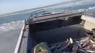 Рыбаки Азовского моря