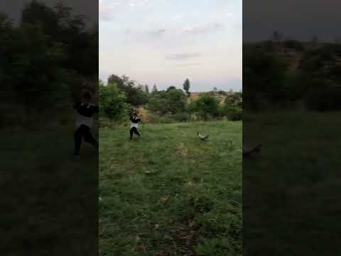Rooster relentlessly chases boy around yard in Bingöl, Turkey