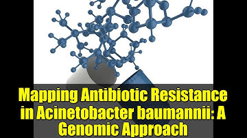 Mapping Antibiotic Resistance in Acinetobacter baumannii: A Genomic Approach