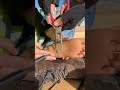 Construction Worker Said She Felt A Tickle In Her Foot ЁЯШ Glad She S Okay Constructionsite Shorts Construction Worker Said She Felt A Tickle In Her Foot ЁЯШ Glad She S Okay Constructionsite Shorts
