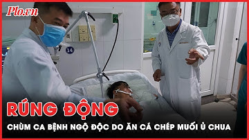 Chùm ca bệnh ngộ độc do ăn cá chép muối ủ chua ở Quảng Nam gây rúng động | PLO