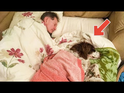 Man sleeps next to dog in bed, but suddenly dog does something unexpected