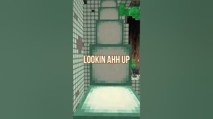 Craziest Minecraft Villager Chase...