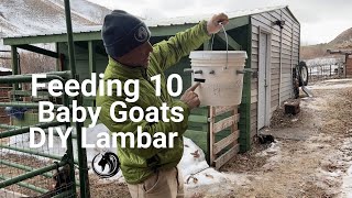 Feeding Baby Goats with a DIY Lambar