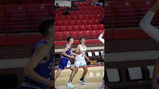 Dimmitt basketball 2023 playoffs