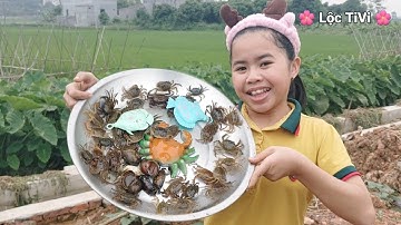 Lộc TiVi 1 Ngày đi xúc Cá, Tôm, Cua, Ốc 3