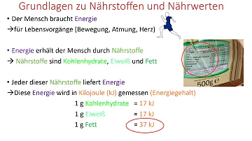 Wie berechnet man den Zuckergehalt eines Lebensmittels?