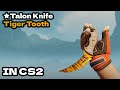 CS2 ★ Talon Knife - Tiger Tooth CS2 Knife Showcase!
