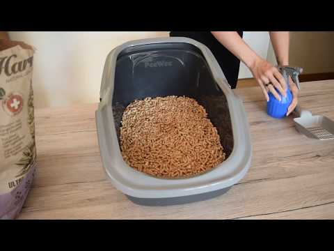 Eigentest: Harmony Katzenstreu Cat Natural Cat Litter